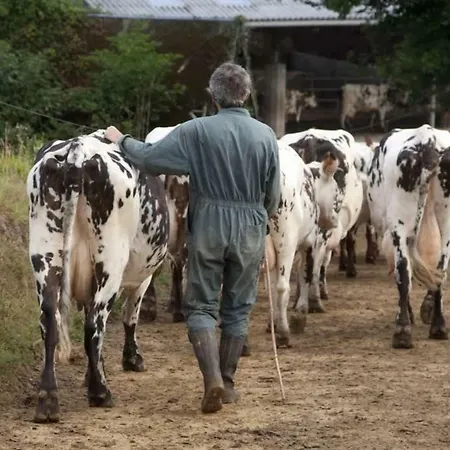 La Ferme De La Moriciere Sartilly-Baie-Bocage
