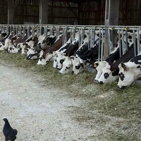 La Ferme De La Moriciere Sartilly-Baie-Bocage