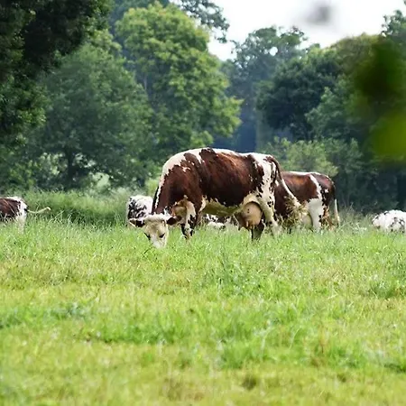 La Ferme De La Moriciere